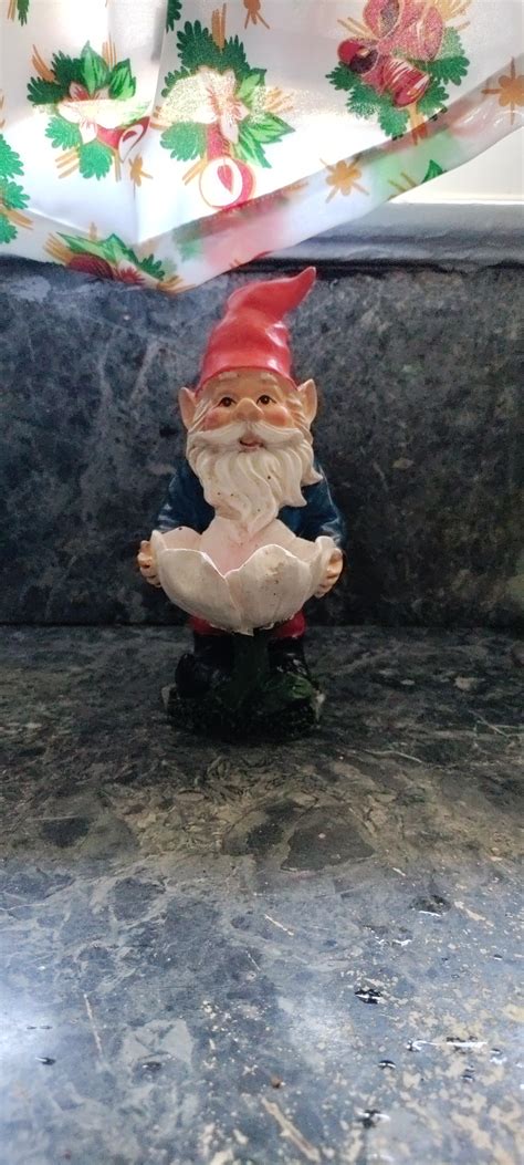 gnome pilled|gnome pilled reddit.